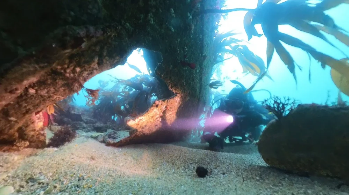 UC92 wreckage